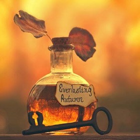 Autumn is the best&nbsp;season