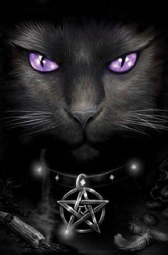black cat magic purple