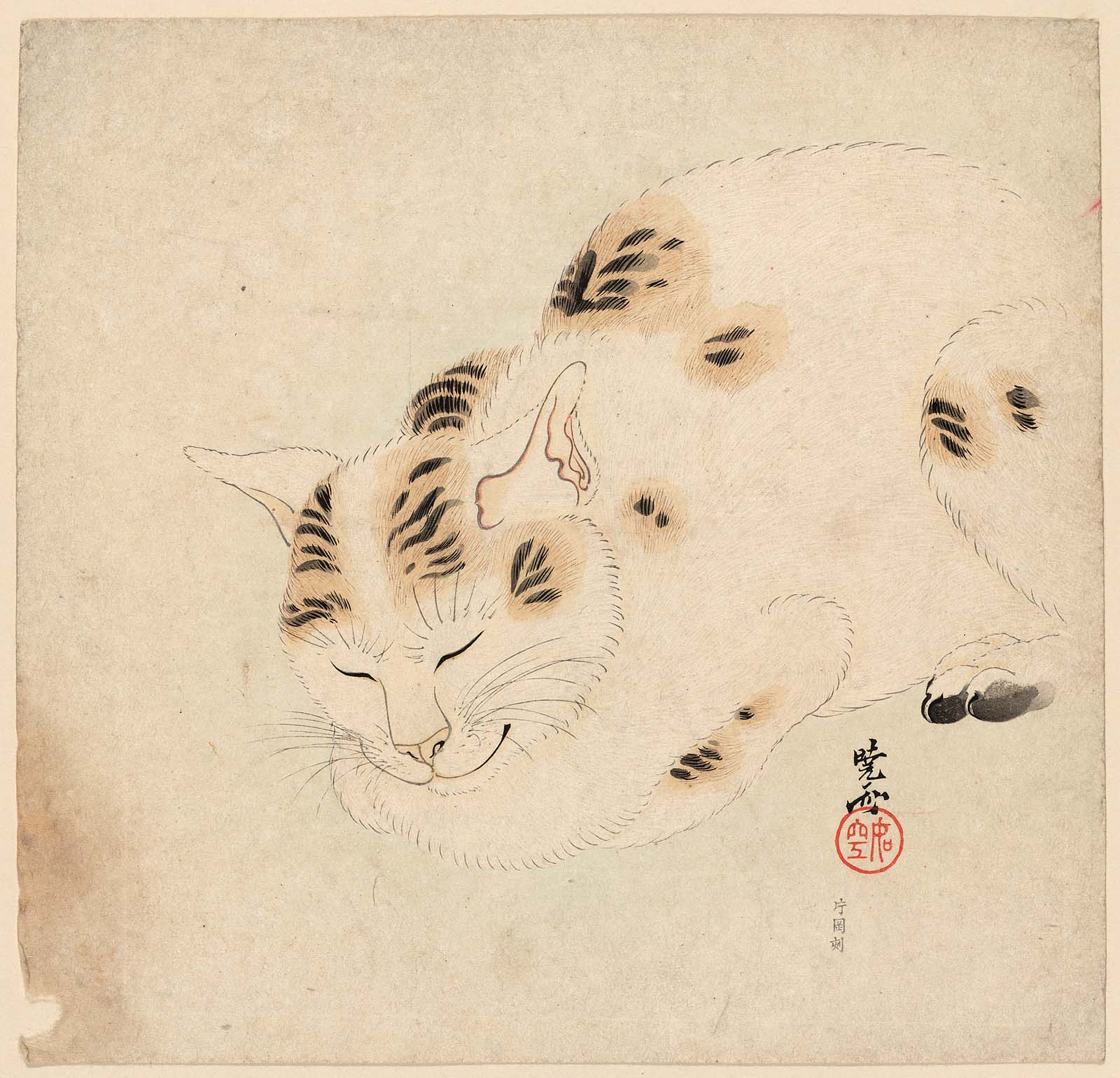 sleeping cat Kawanabe Kyôsai 1831–1889
