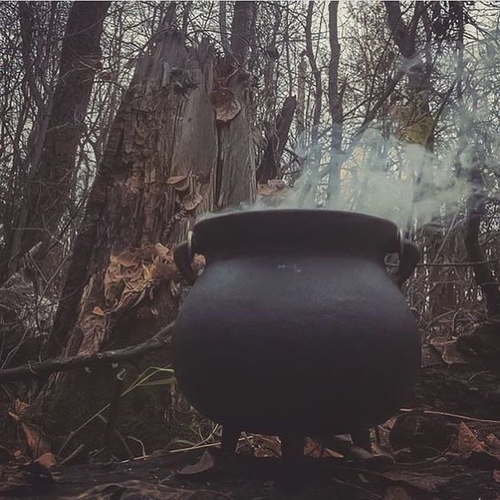 Haiku of the&nbsp;Week