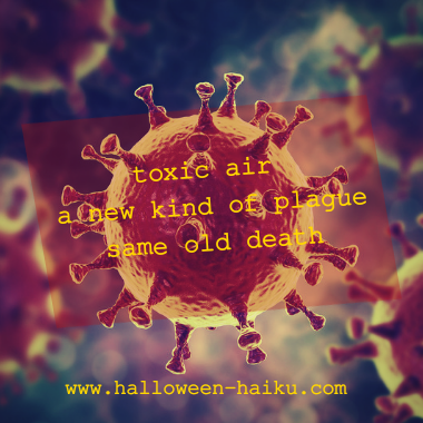 20200706_103408_0000